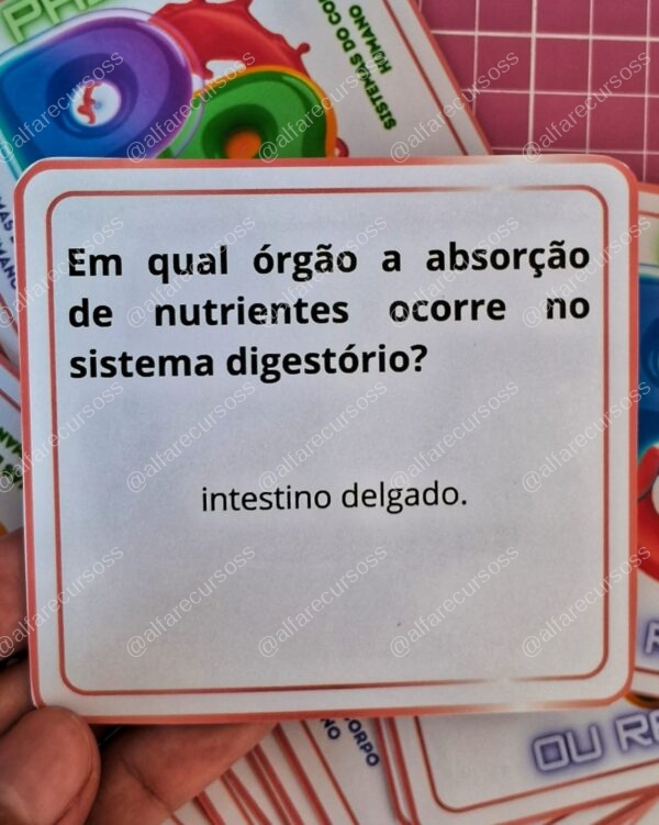 Passa ou repassa - Sistemas do corpo humano - Image 5