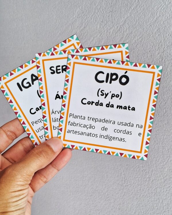 Bingo Palavras de Origem Indígena - Imagem 3