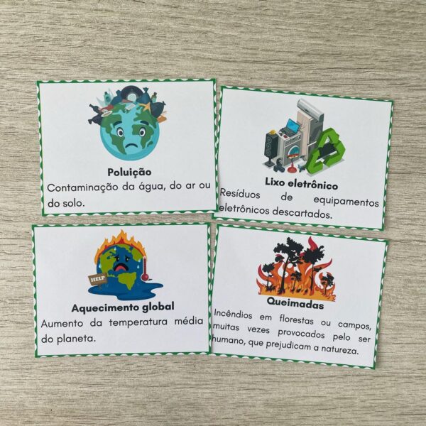 Bingo Meio Ambiente - Imagem 5