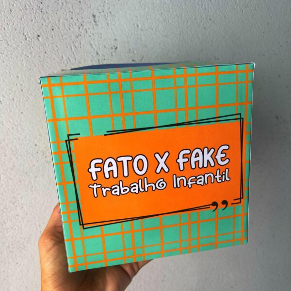 Fato X Fake: Trabalho Infantil - Imagem 2