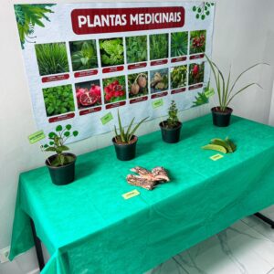 Plantas Medicinais